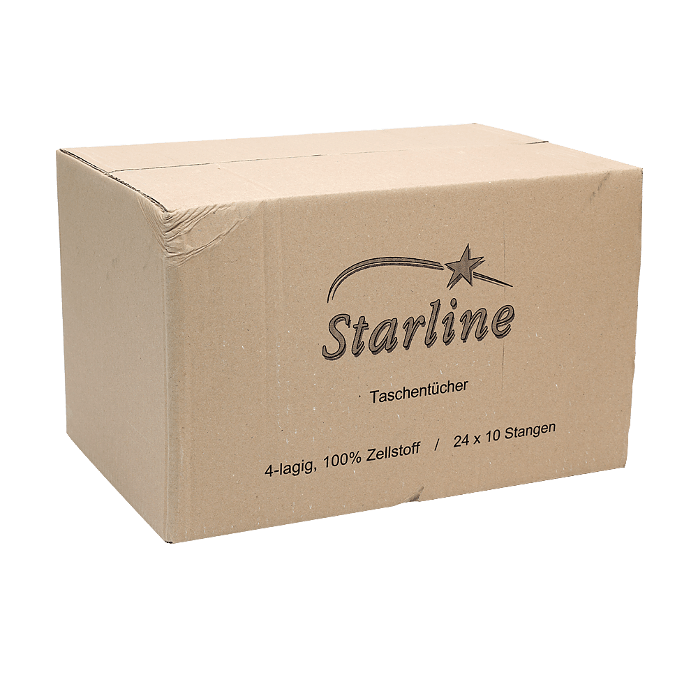 Mouchoirs (24 pack x 10 Etui x 10 pces) Carton