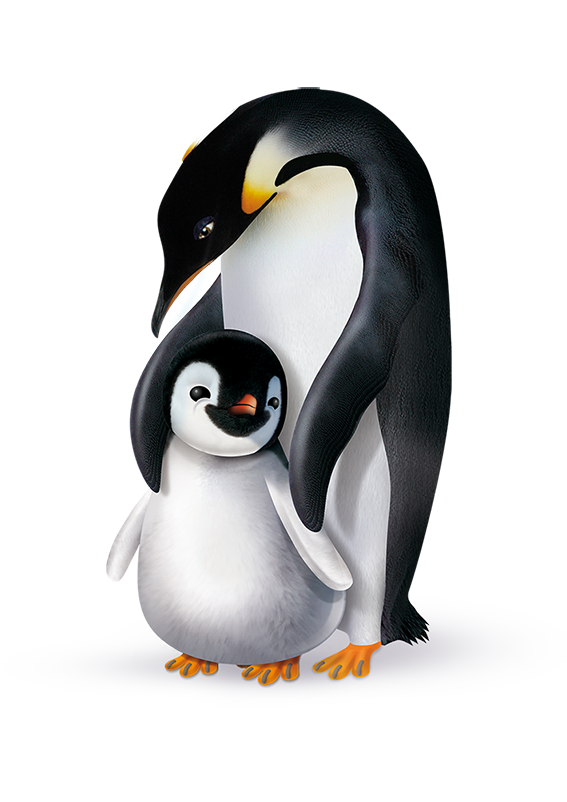 Pingo T1 Newborn (2-5 kg) Carton de 2 (4 x 5 x 27 pces)