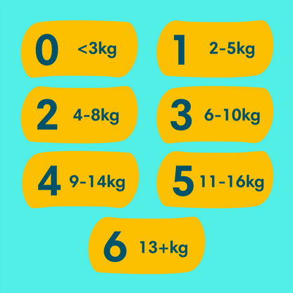 Pampers Premium Protection T4 Maxi 9-14kg (39 pces) Sachet