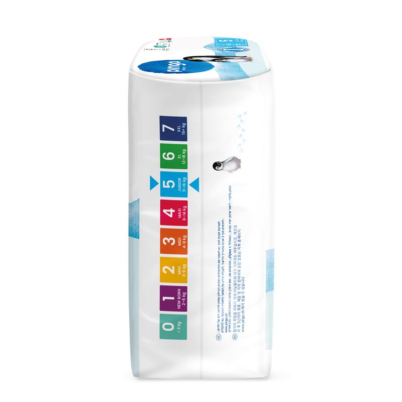 Pingo T5 Junior Pack mensuel (180 pces)