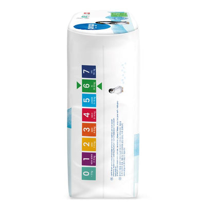 Pingo T6 XL Pack mensuel (160 pces)