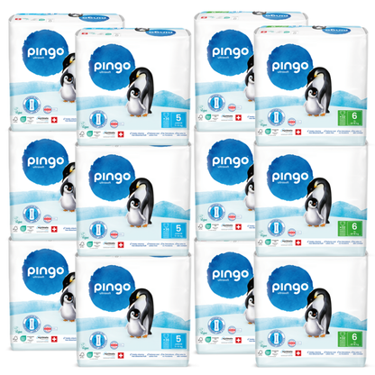 Pingo PACK ÉCONOMIE (6 × JUNIOR + 6 × XL)